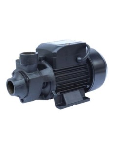 Pompa stacjonarna QB60 230V