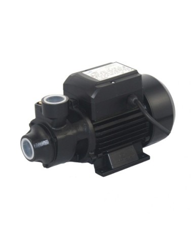 Pompa stacjonarna QB60 230V